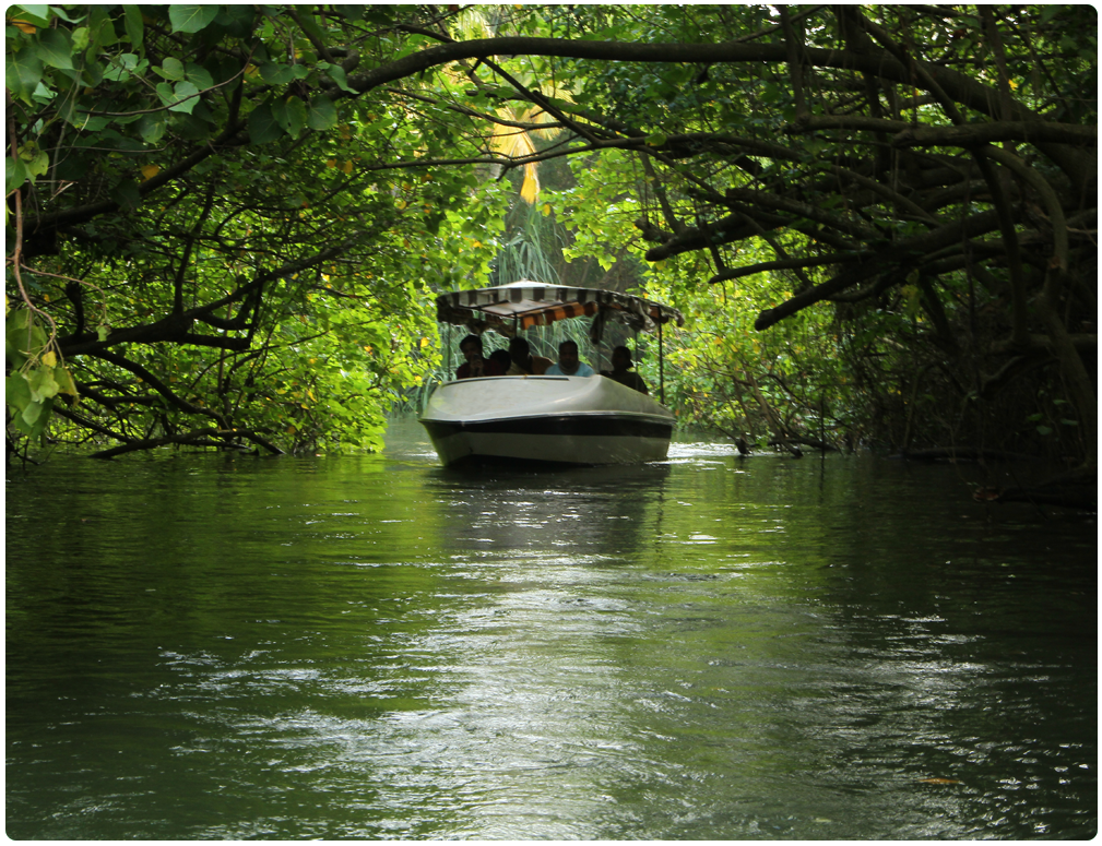 poovar island backwater cruise